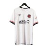 Original Fußballtrikot Luton Town Ausweichtrikot 2024-25 Für Herren